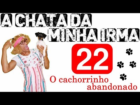 A CHATA DA MINHA IRMÃ 22 (O CACHORRINHO ABANDONADO)