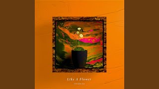 화인 Like A Flower (Instrumental)