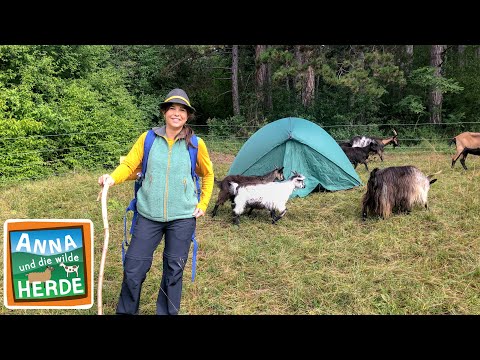 Zelten mit den Ziegen | Reportage für Kinder | Anna und die wilde Herde | 05