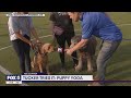 FOX 5 Zip Trip National Landing Puppy Yoga