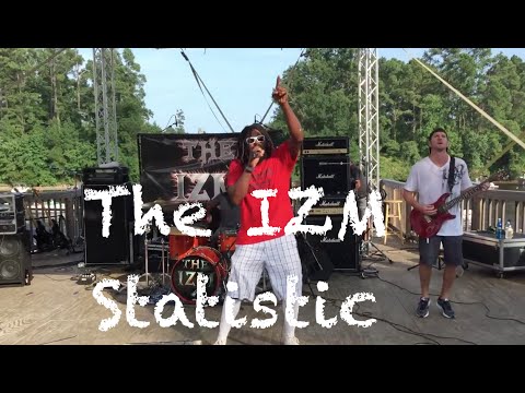 The IZM - Statistic