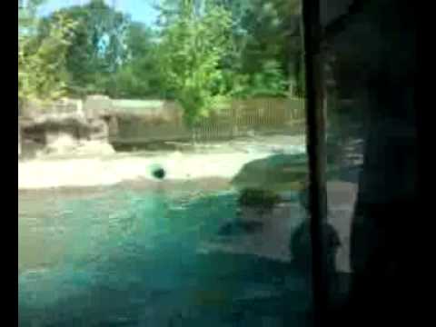 video 2011 06 12 15 02 32