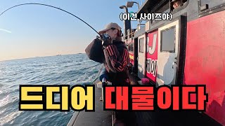 대물 올리다가 심장 터질 뻔 했습니다🔥| 영목항 BJ호 🛥️ ㅣ깊은 수심! 심해 갑오징어 낚시 | 신진도 신발갑 사이즈🦑 ㅣ 전투낚시