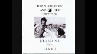 Robyn Hitchcock and the Egyptians - Never Stop Bleeding