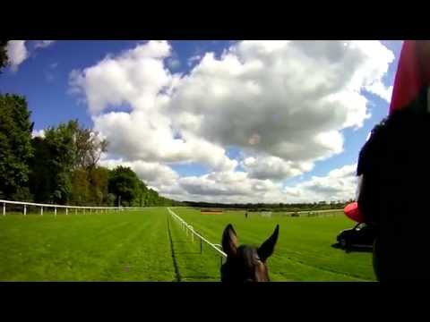 Prince of Wales's Stakes Course Ride