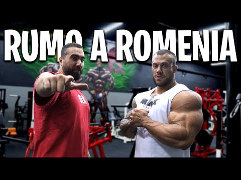 TREINO ATUAL DO HORSE RUMO A ROMÊNIA