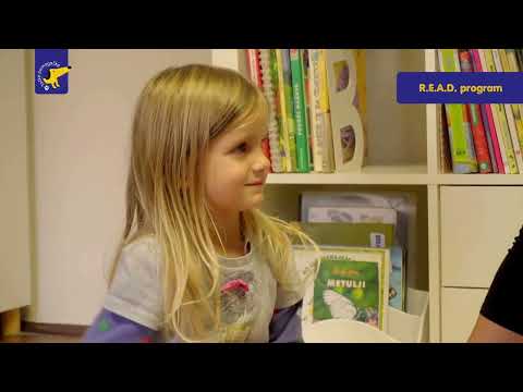 Empowering Children to Overcome Fear of Dog