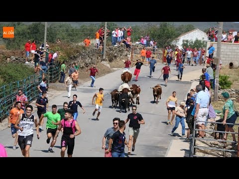 Todo a punto para la III Feria Agroalimentaria  y de la piedra en la Zarza de Pumareda  