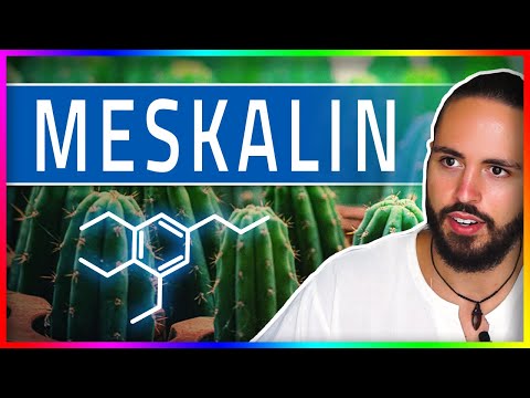 Meskalin (San Pedro/Peyote) - Risiken, Substanzinfo, Legalität