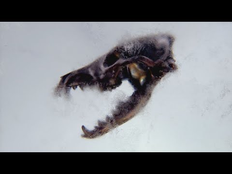 KAYZO - BEFORE THE STORM (SYN REMIX)