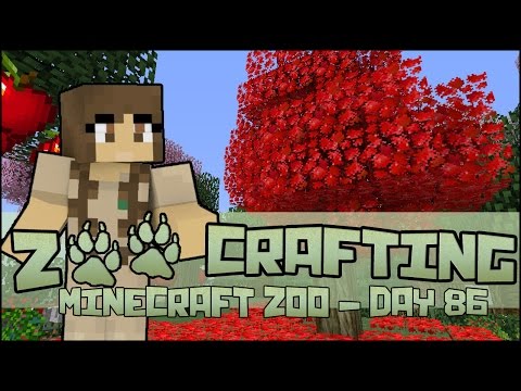 Playing in the Maple Leaves! 🐘 Zoo Crafting: Season 2 - Episode #86