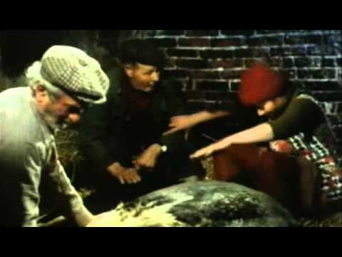 Deux Crocodiles - La Femme n'est qu'une Chèvre améliorée