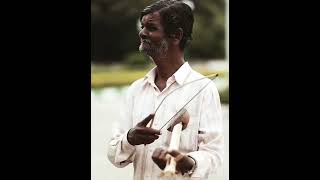 Download lagu skil tangan memainkan biola india yang sangat canggih...😱😱☺️☺️ aca...aca...hehi nehi... mp3
