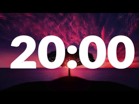 20 Minute Timer with Alarm, without music