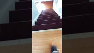 If you came here to come kill me clap your hands *CLAP CLAP*