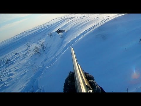 Охота на зайца. Погоня. The hunting of the hare