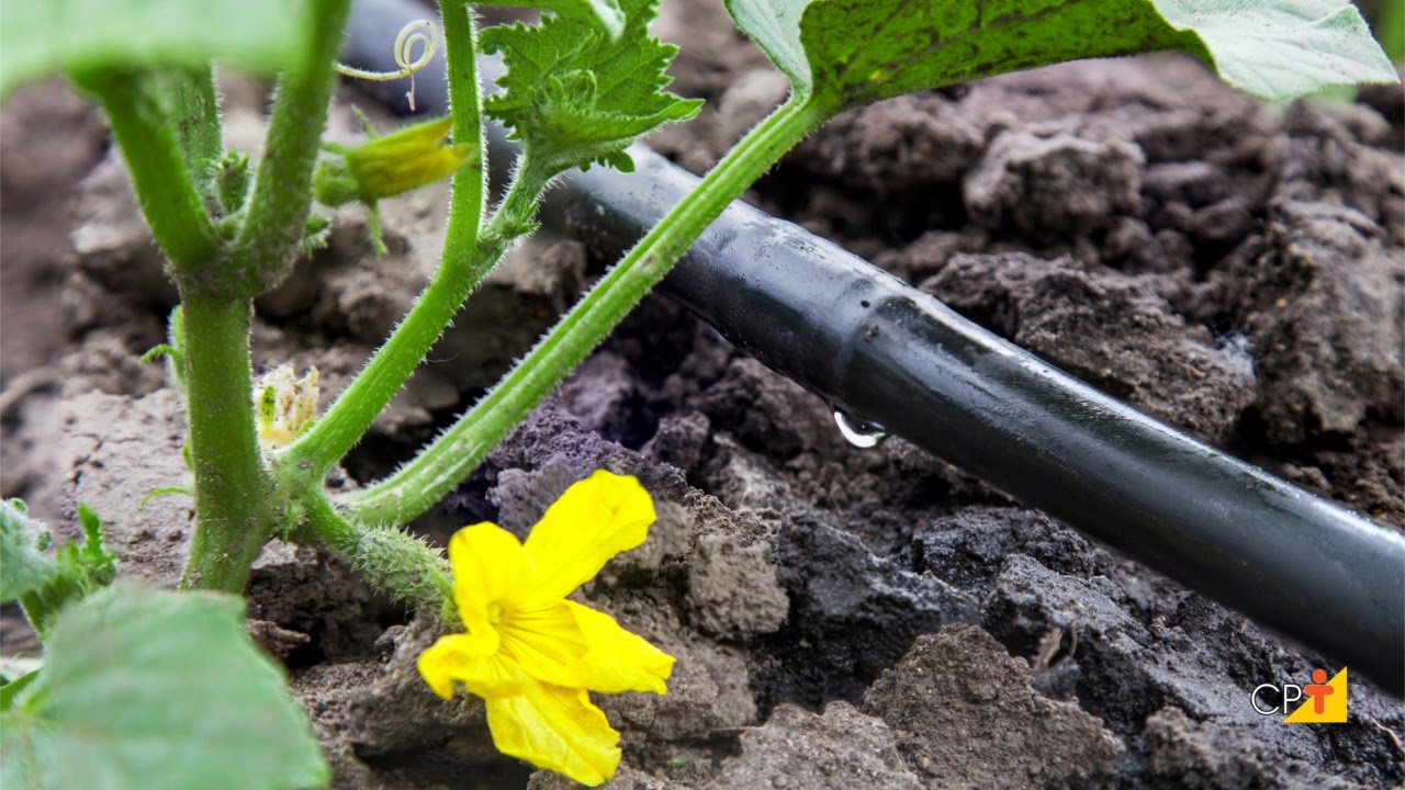 Características do Sistema de Irrigação - Curso Projeto de Irrigação Localizada CPT