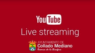 Pleno ordinario 22/04/2021