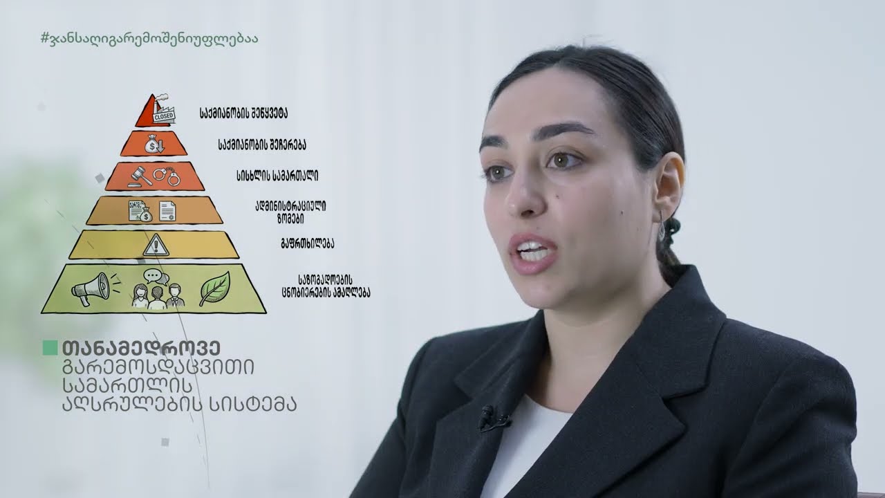 11 - აღსრულების პირამიდა | The Enforcement Pyramid