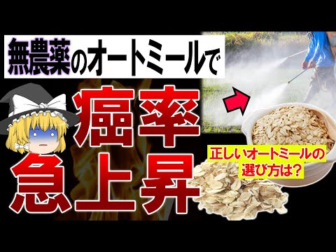 犬にとってオーツ麦の利点