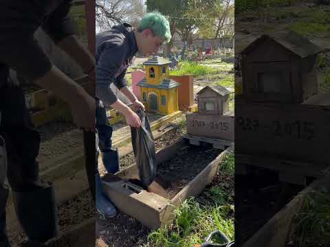 If you stop crying, we'll remodel your owner's grave.