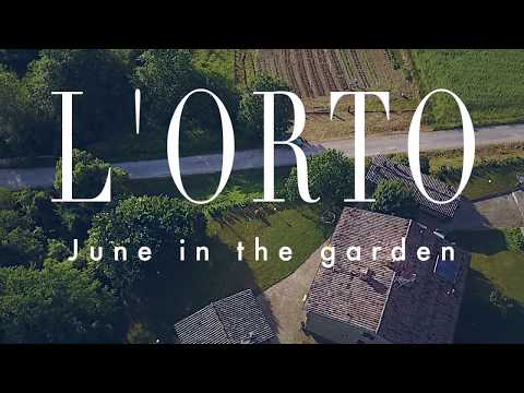 Our HUGE Garden in Italy from Above!!