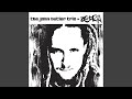 Zebra (Radio Edit)