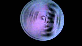 ivan iacobucci presents:tabea h-your body