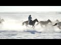 Naadam Fair Featuring Horse Racing Photography Held In Inner Mongolia