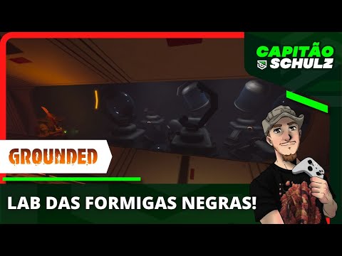 GROUNDED: Laboratório das Formigas Negras Completo e Guia Definitivo da CAIXA DE AREIA Com CHIPs!