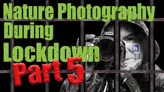 Nature Photography During Lockdown Part 5 - How To Edit Photos In Lightroom And Photoshop