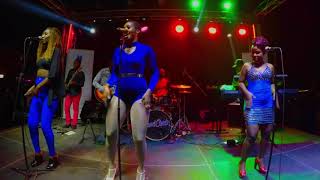 Download lagu Kyarenga by H E Bobi Wine Cover by Cindy Sanyu live mp3 Download lagu Kyarenga by H E Bobi Wine Cover by Cindy Sanyu live mp3