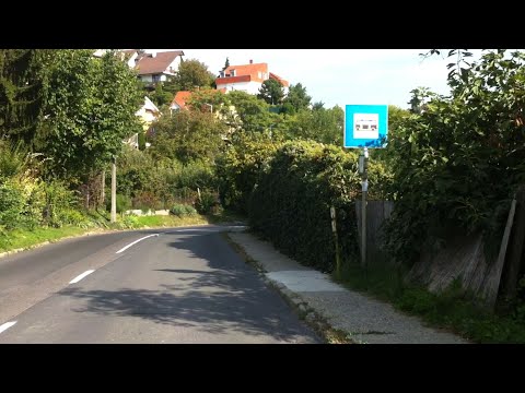 Szekszárd 4Y járat; TESCO áruház - Bottyán-hegy