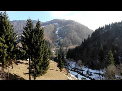 Cabana Valea Haiducilor - drone view -