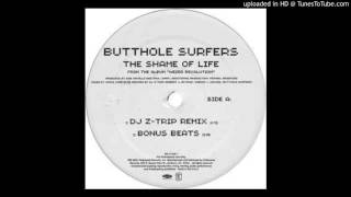 3) Butthole Surfers-Shame of Life (Z-Trip Remix)