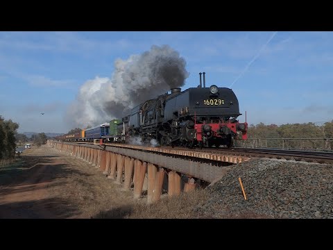 Australian steam locomotive Garratt 6029 - Wagga Wagga shuttles - June 2015