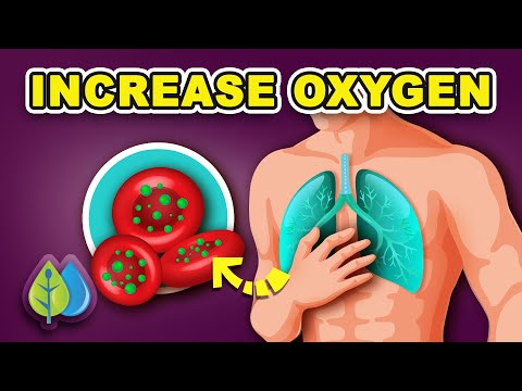 Top 6 Natural Ways to Boost Oxygen in Blood