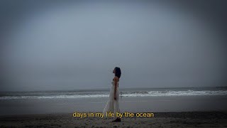 a birthday spent by the ocean ˖°𓇼🌊⋆🐚