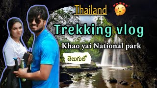 Trekking in Khao Yai National Park | Thailand | Telugu Vlog |