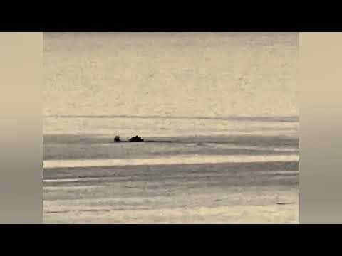 Tahoe Tessie: IS THIS THE ELUSIVE LAKE CREATURE?