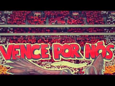 CHOREO - Benfica Lissabon vs Borussia Dortmund (Champions League 14.02.2017)