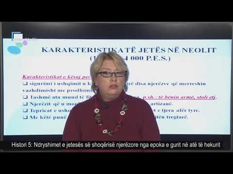Histori 5 - Ndryshimet e jetesës së shoqërisë njerëzore nga epoka e gurit në atë të hekurit