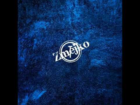 Zmejko ft Brzi - Pali Gasi