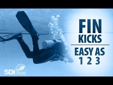 Fin Kicks: Easy as 1-2-3