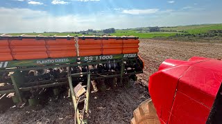 PLANTIO do MILHO 🌽😱
