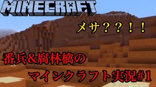 目が覚めたらメサ！！マイクラPE実況#1