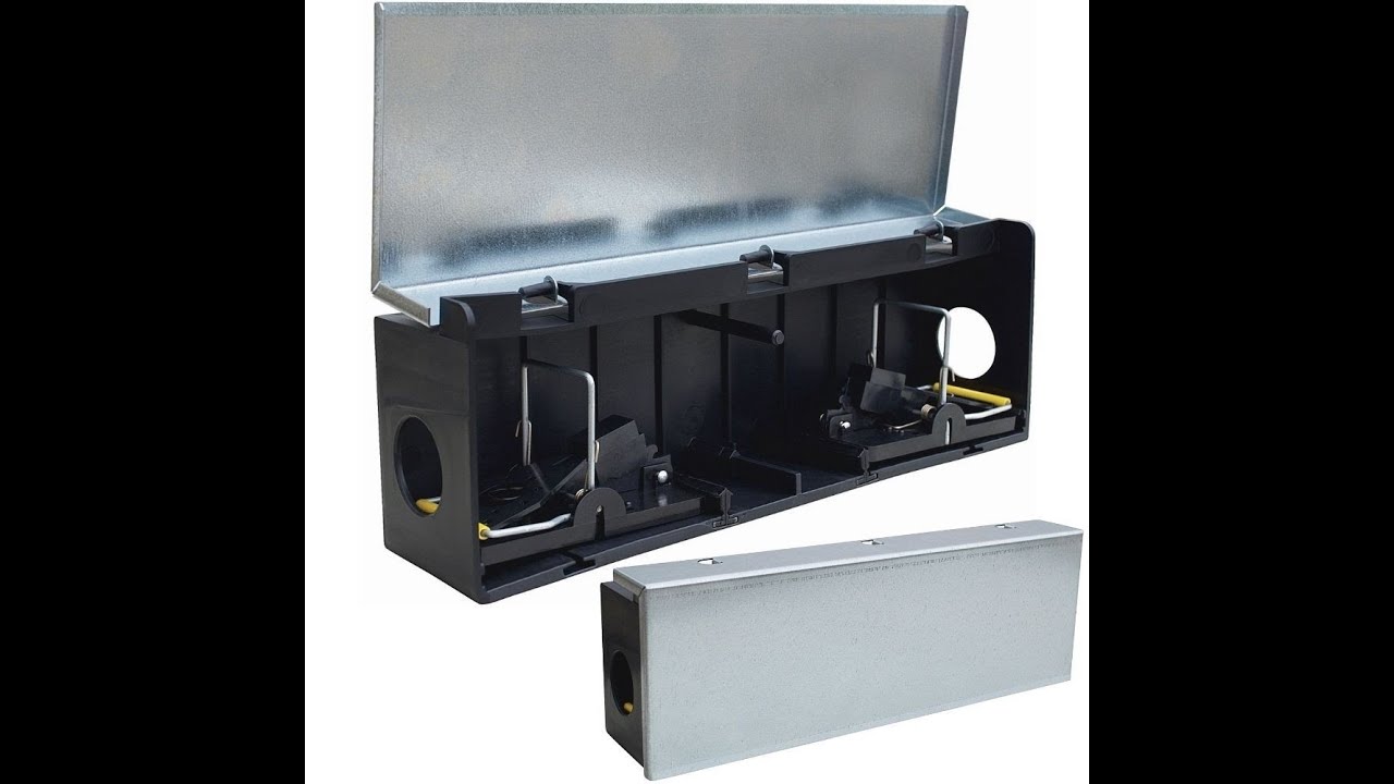 Rottefeller i solid sikkerhetsboks