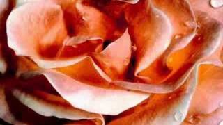 Carl Anderson &quot;My Funny Valentine&quot;