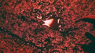 NF - Hate Myself 和訳