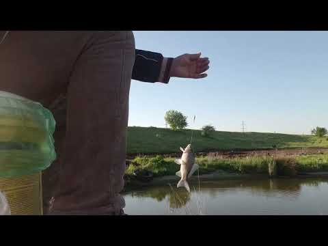 PESCUIT  LIVEDEA  (BALTĂ  CARAS  ) !